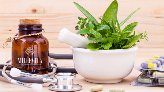 The Power of Herbs for New Moms